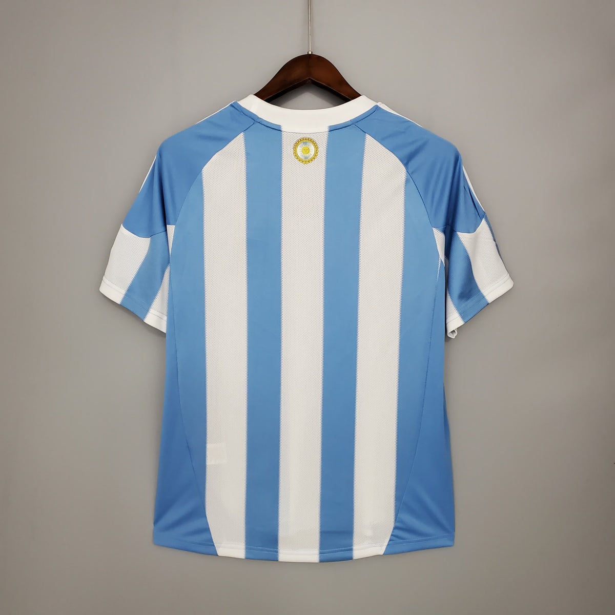Argentina 2010 Home Retro — Fan Version