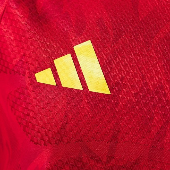 Belgium 2026 World Cup Home — Player Version