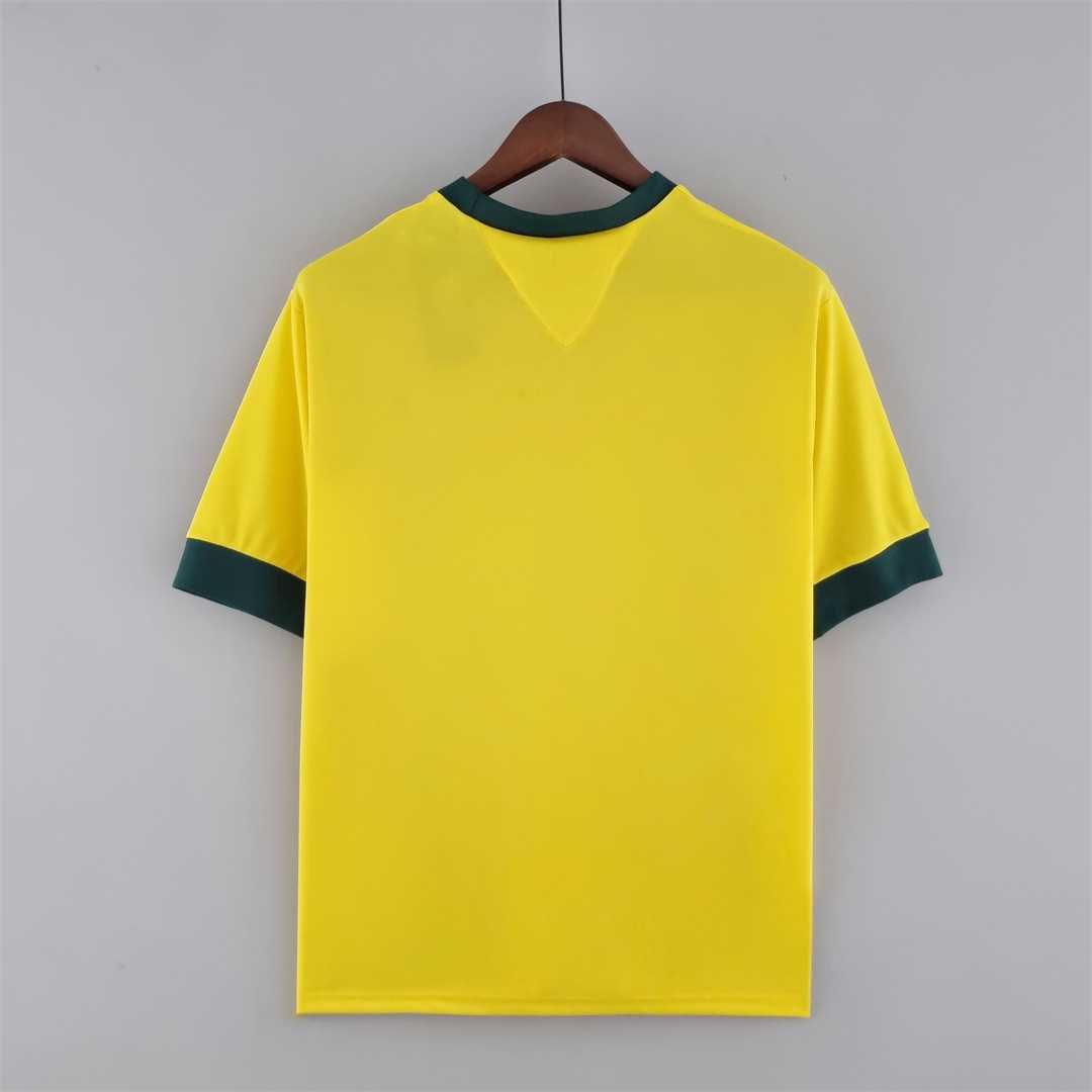 Brazil 1970 Home Retro — Fan Version