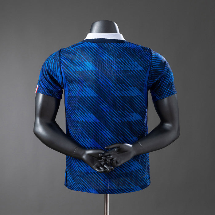 France 2026 World Cup Home — Player Version